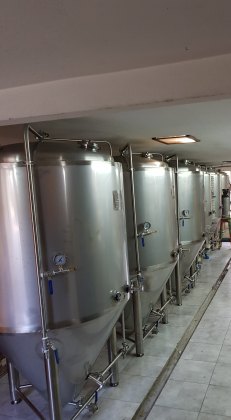 Fermentador 700 Lts